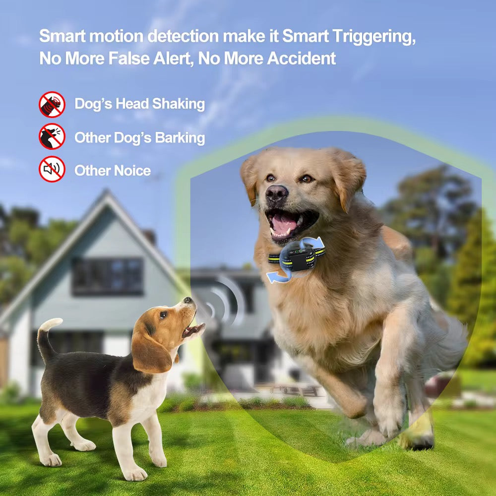 Diervriendelijke blafband met trillingen en geluiden